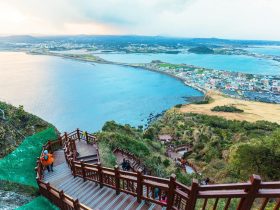The Beautiful Jeju Islands