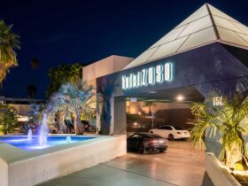 Night exterior of Hotel Zoso with a pyramid roof, illuminated sign, palm trees, and a lit fountain in the foreground.